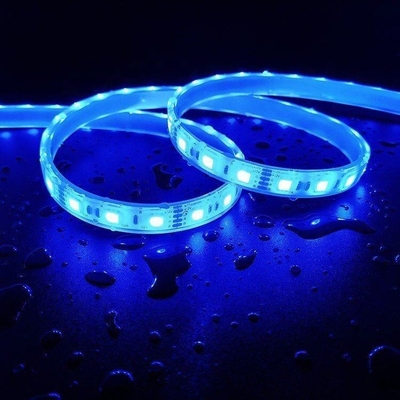 85-265V Input Voltage Intelligent Lighting LED Grow Light Strip 5 metri per il campeggio
