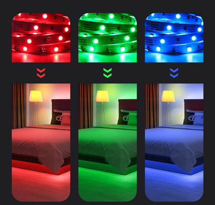 85-265V Input Voltage Intelligent Lighting LED Grow Light Strip 5 metri per il campeggio